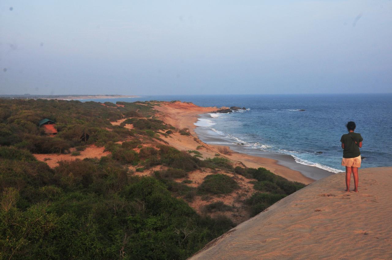 Back Of Beyond Dune Camp Yala Exterior photo